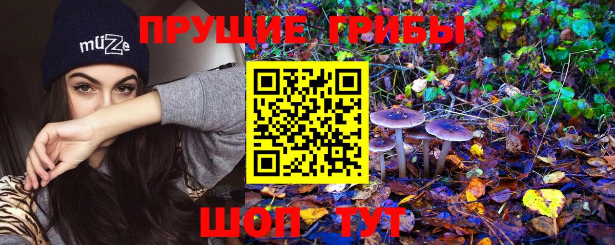 Псилоцибиновые грибы Magic Shrooms  Галлюциногенные грибы ЛСД  Вход с VPN  Нижний Тагил 